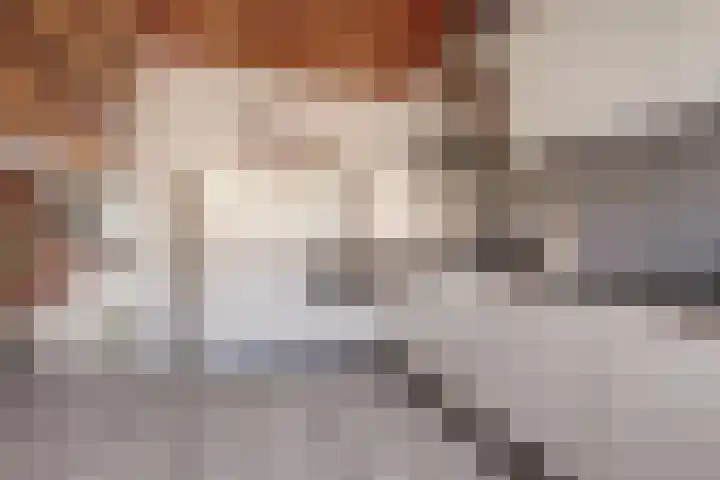 Peppelhof 11 Gendt thumbnail 9