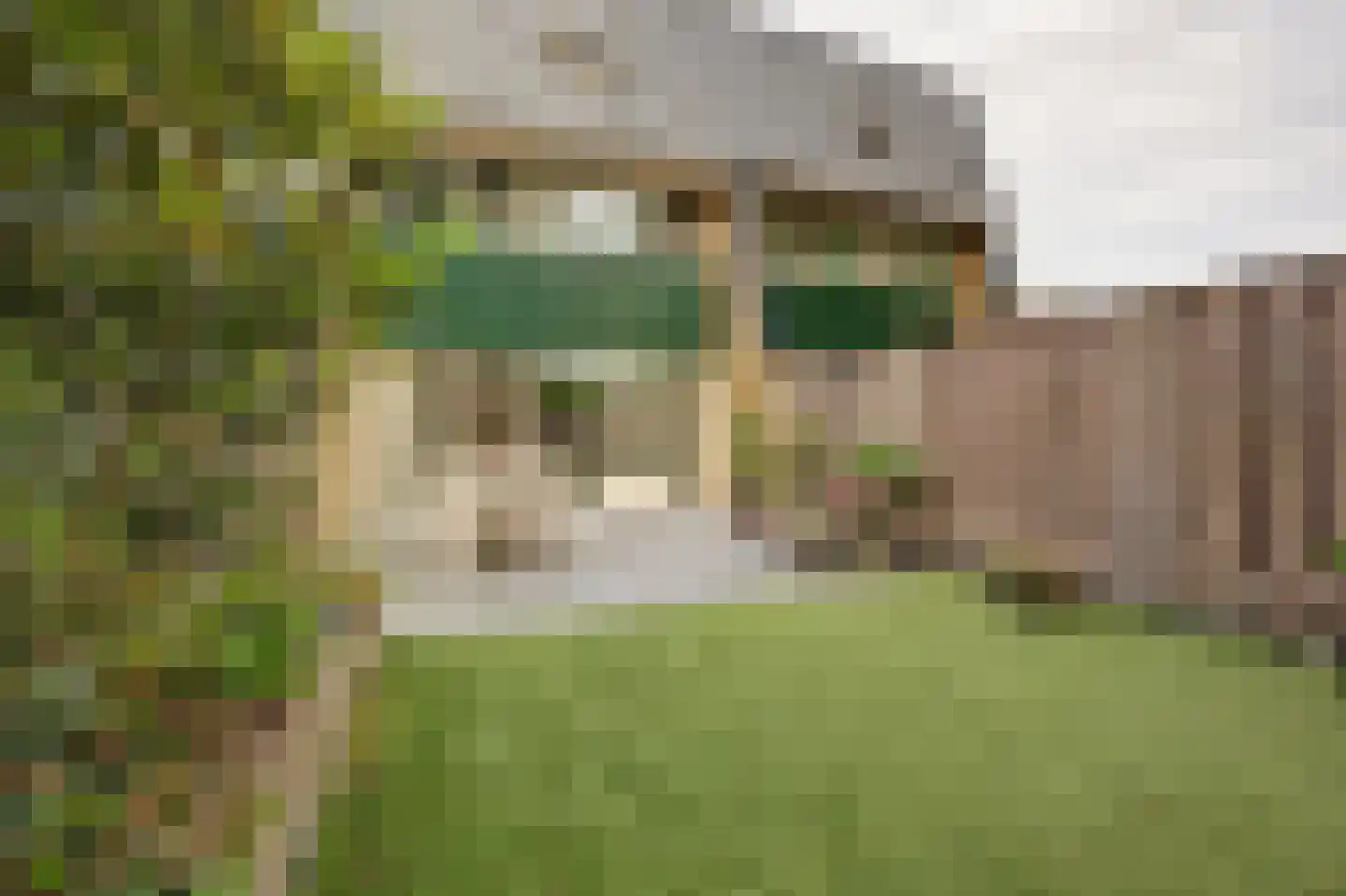 Peppelhof 15 Gendt thumbnail 10