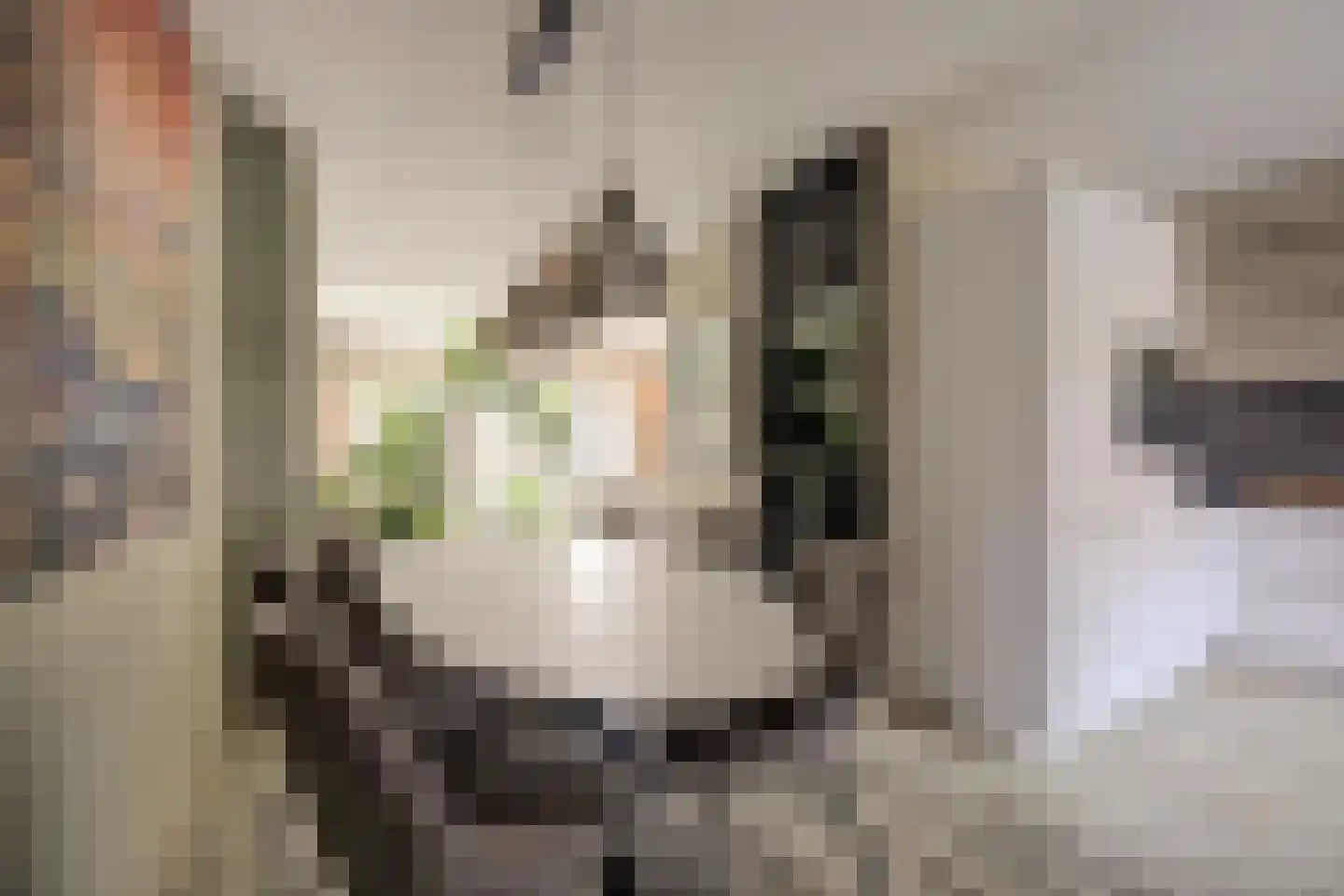 Peppelhof 15 Gendt thumbnail 16