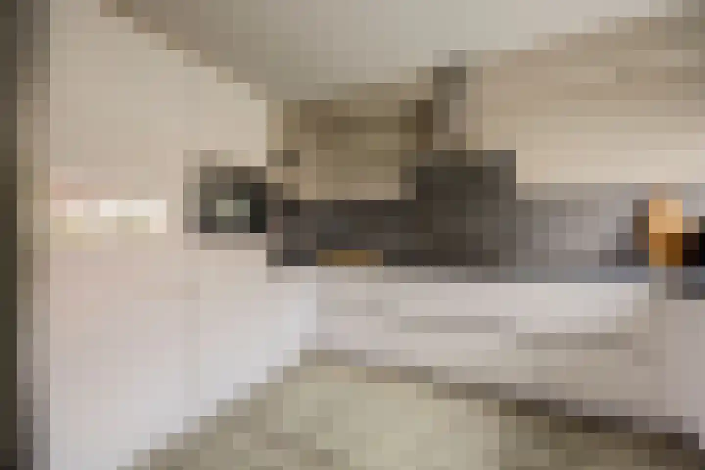 Peppelhof 15 Gendt thumbnail 17