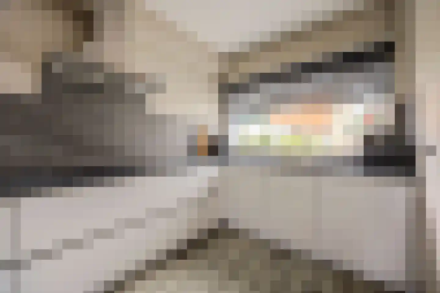 Peppelhof 15 Gendt thumbnail 18