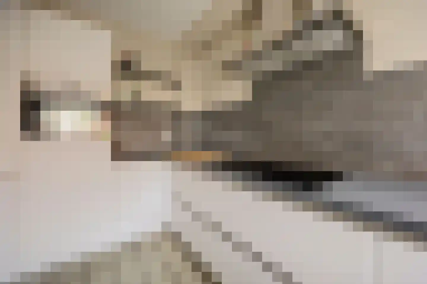 Peppelhof 15 Gendt thumbnail 19