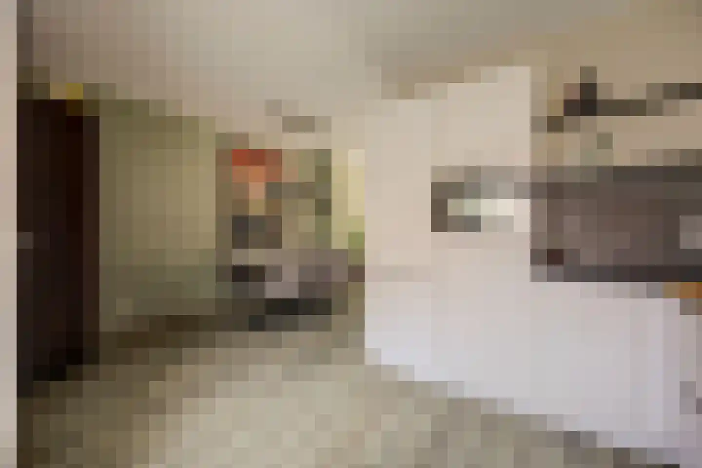 Peppelhof 15 Gendt thumbnail 20