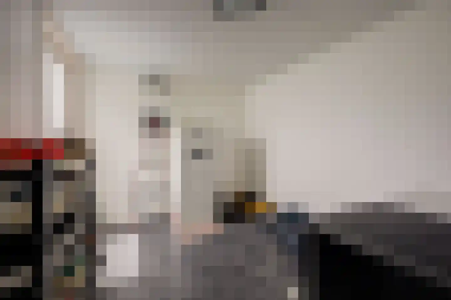 Peppelhof 15 Gendt thumbnail 21