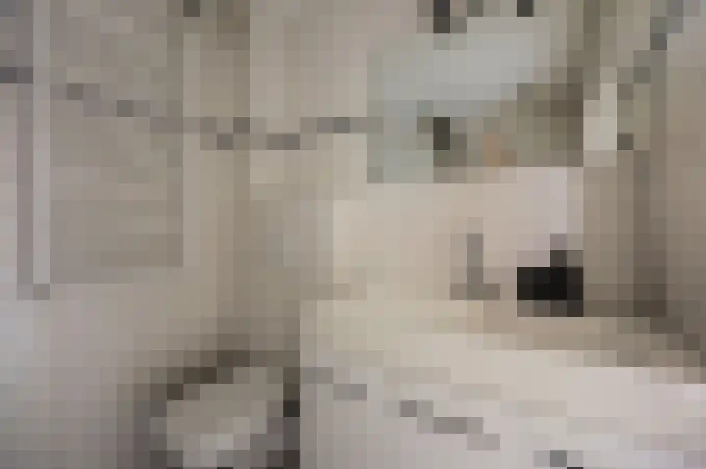 Peppelhof 15 Gendt thumbnail 28