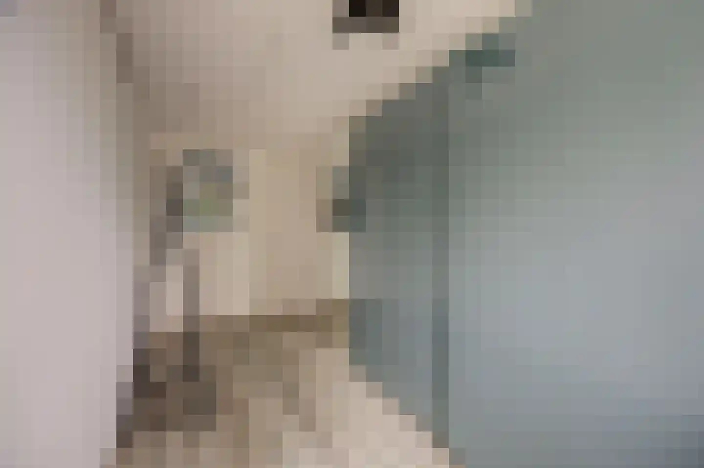 Peppelhof 15 Gendt thumbnail 33