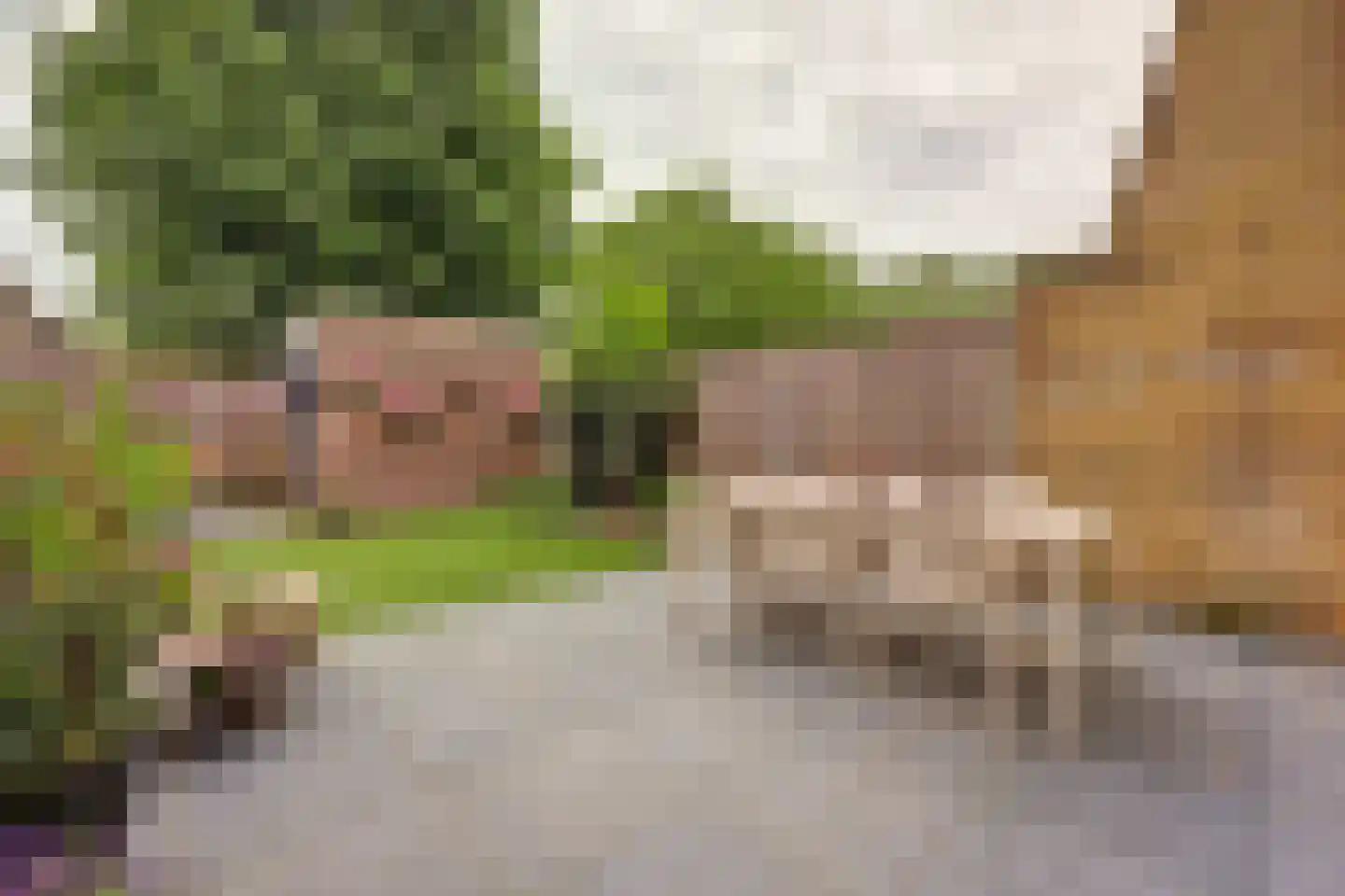 Peppelhof 15 Gendt thumbnail 8
