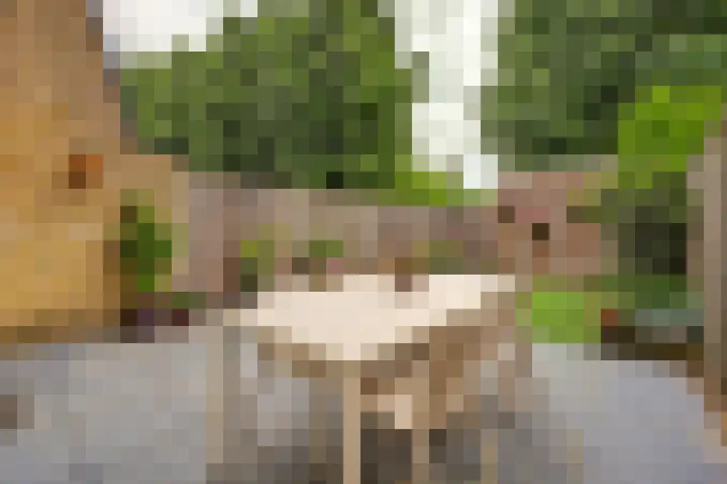 Peppelhof 15 Gendt thumbnail 9
