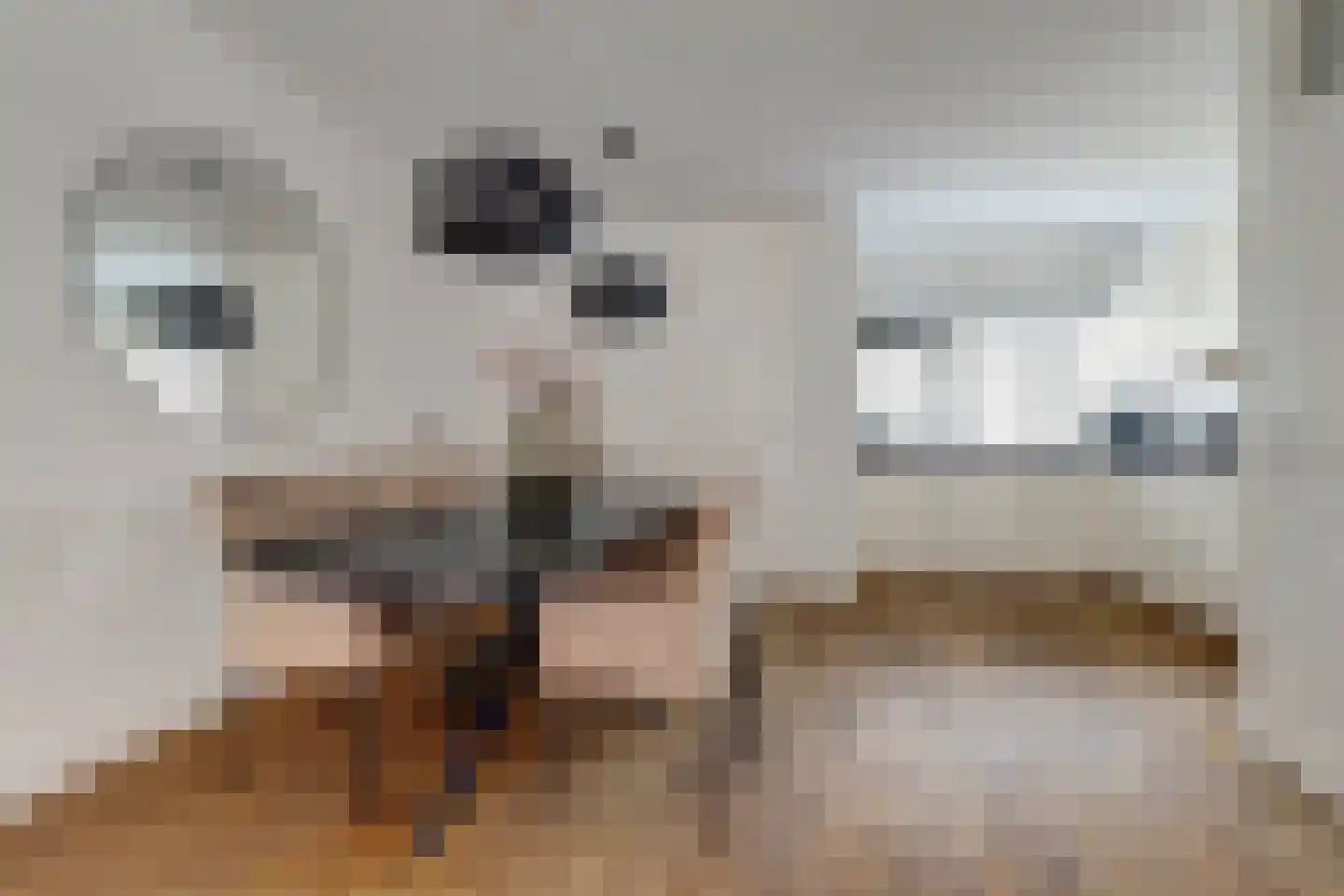 Peppelhof 20 Gendt thumbnail 13