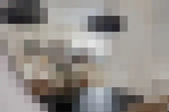 Peppelhof 20 Gendt thumbnail 15
