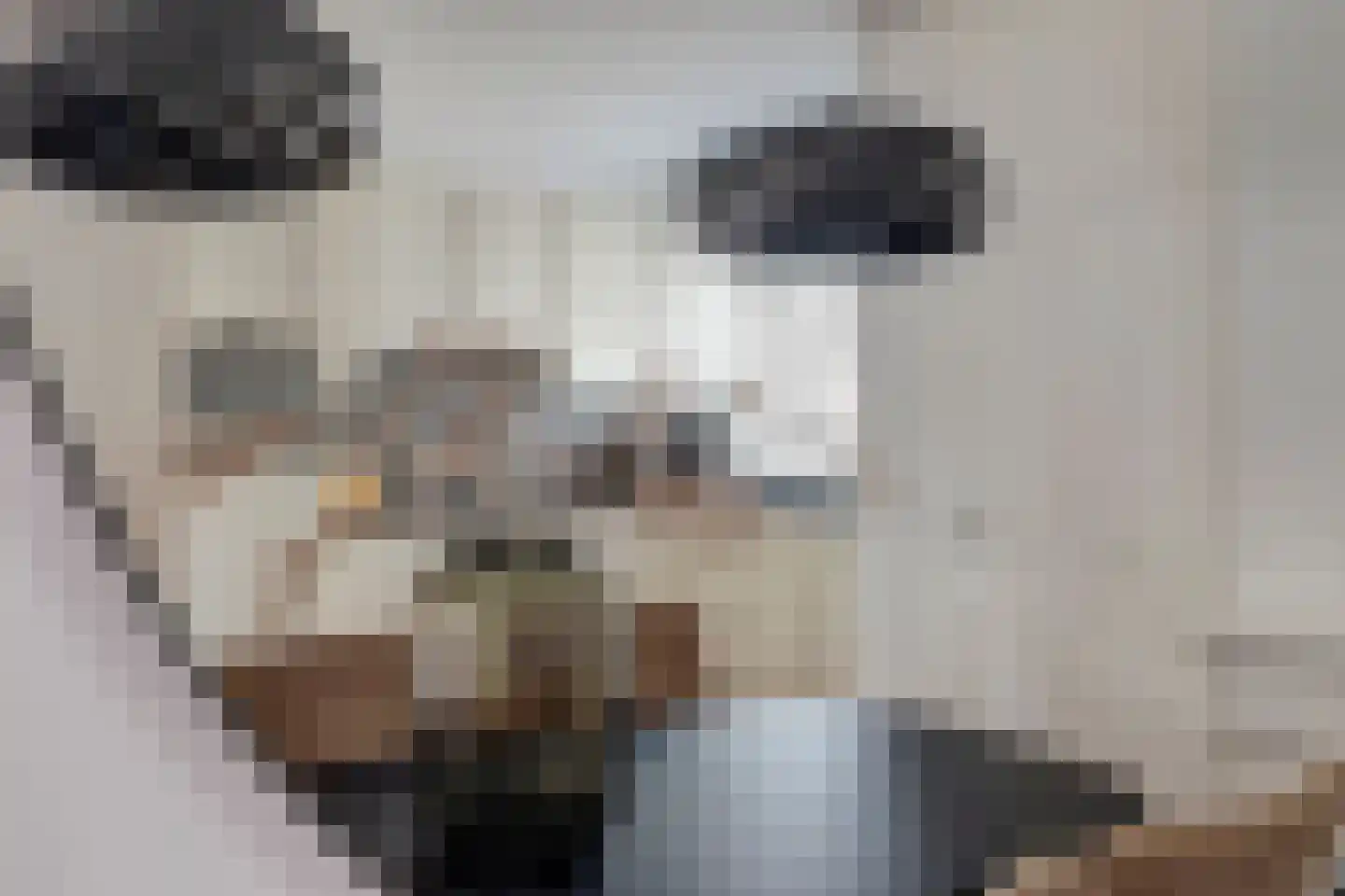Peppelhof 20 Gendt thumbnail 15