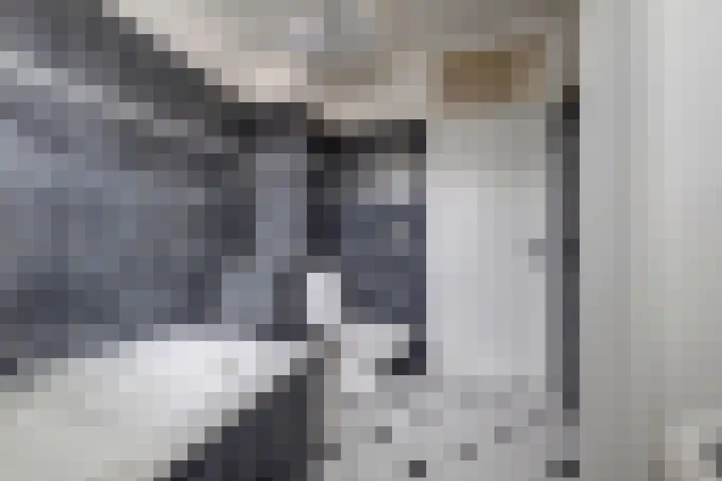 Peppelhof 20 Gendt thumbnail 33