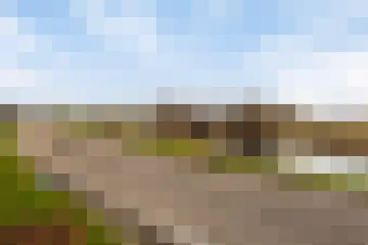 Peppelhof 20 Gendt thumbnail 45