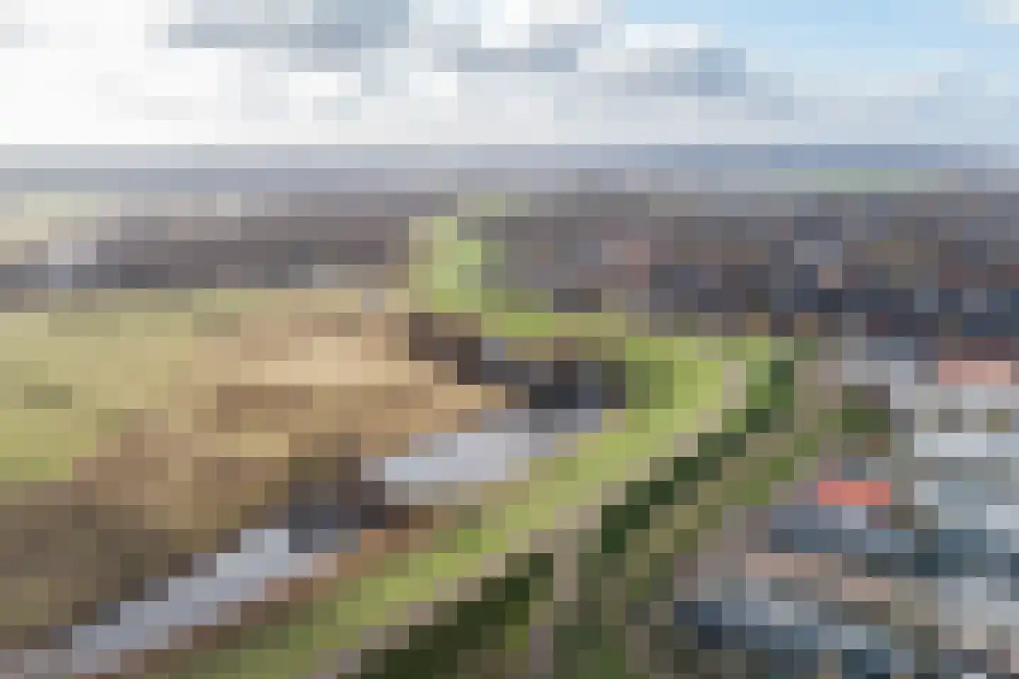Peppelhof 20 Gendt thumbnail 46