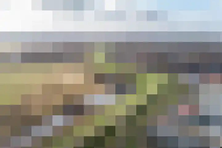 Peppelhof 20 Gendt thumbnail 46