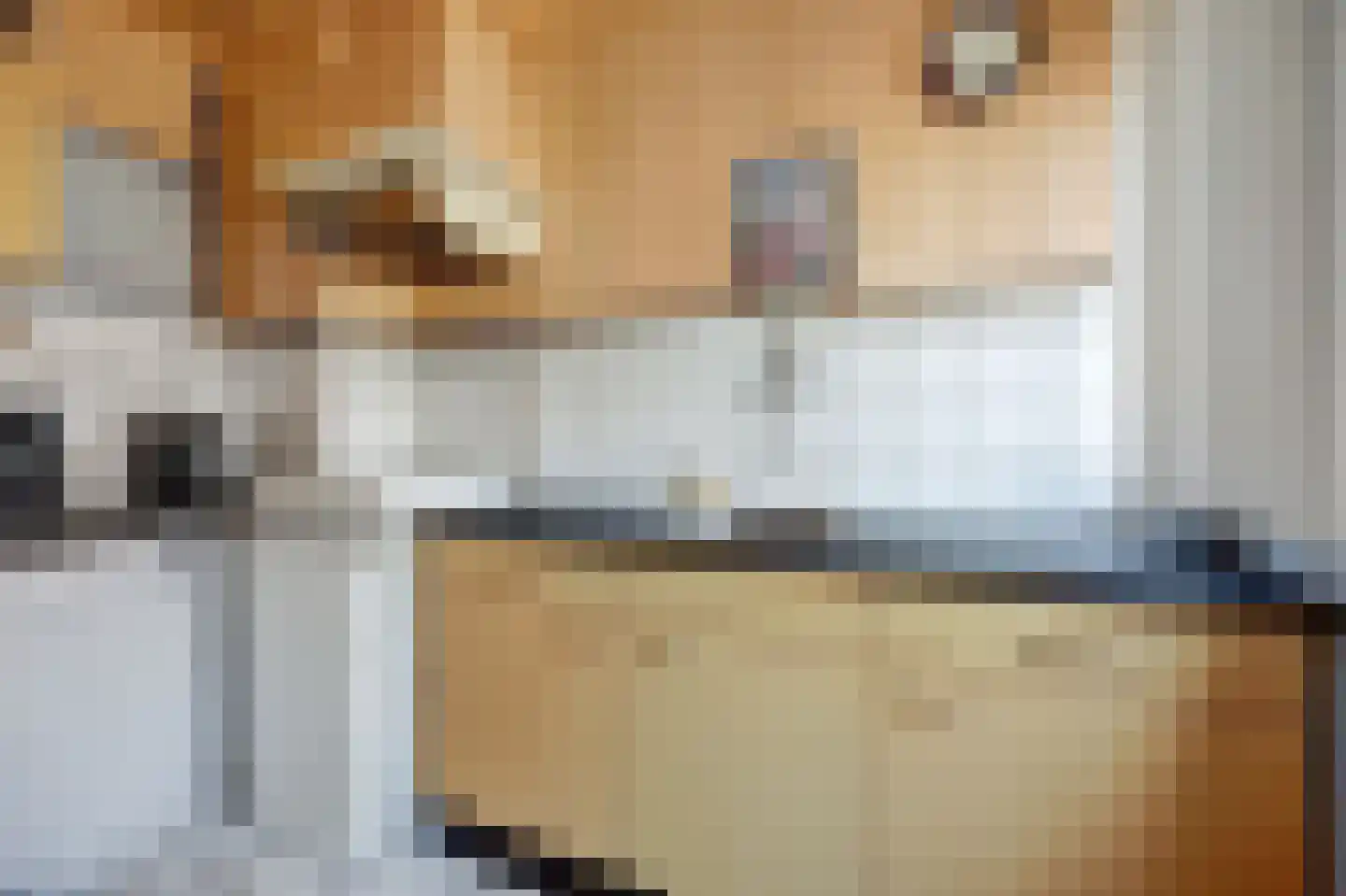 Peppelhof 22 Gendt thumbnail 12