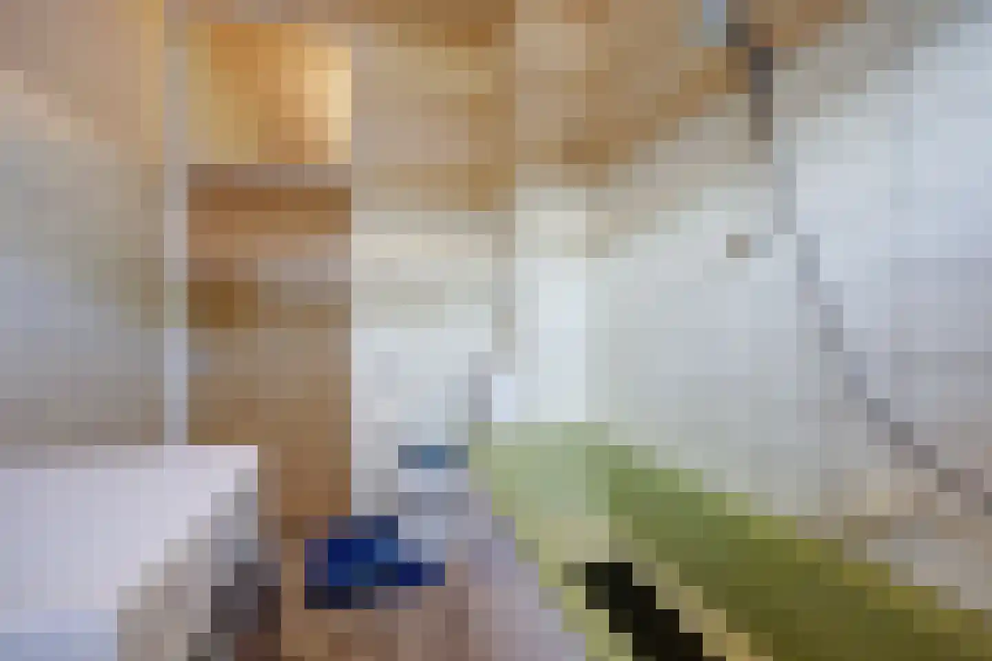 Peppelhof 22 Gendt thumbnail 29