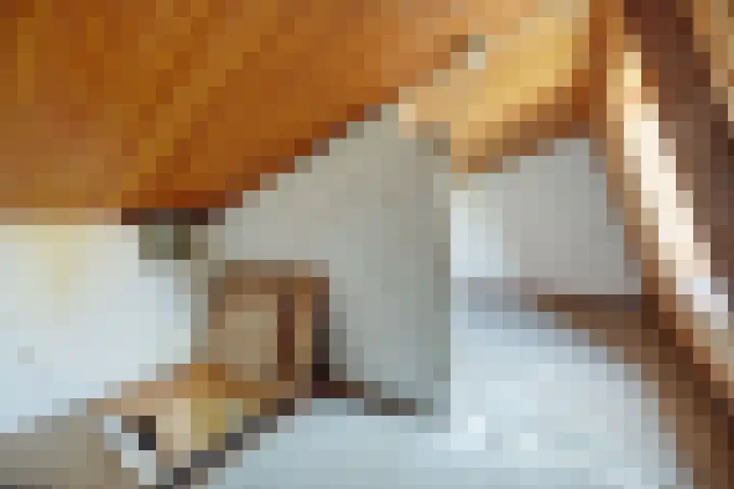 Peppelhof 22 Gendt thumbnail 30
