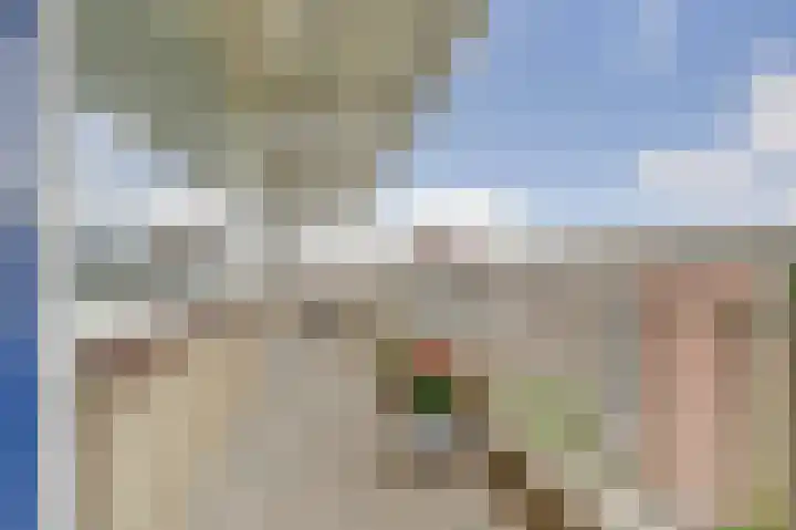 Peppelhorst 41 Waddinxveen thumbnail 12