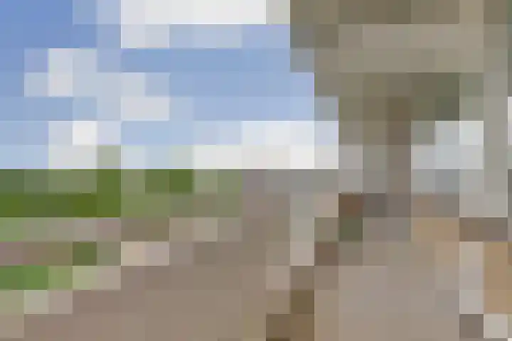 Peppelhorst 41 Waddinxveen thumbnail 13