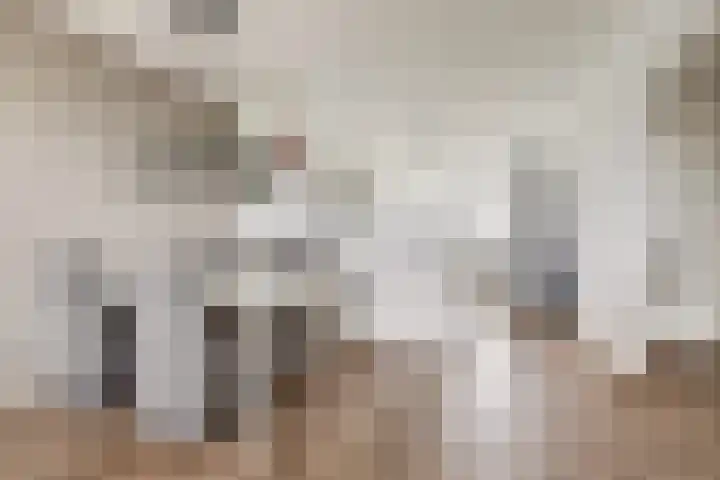Peppelhorst 41 Waddinxveen thumbnail 15