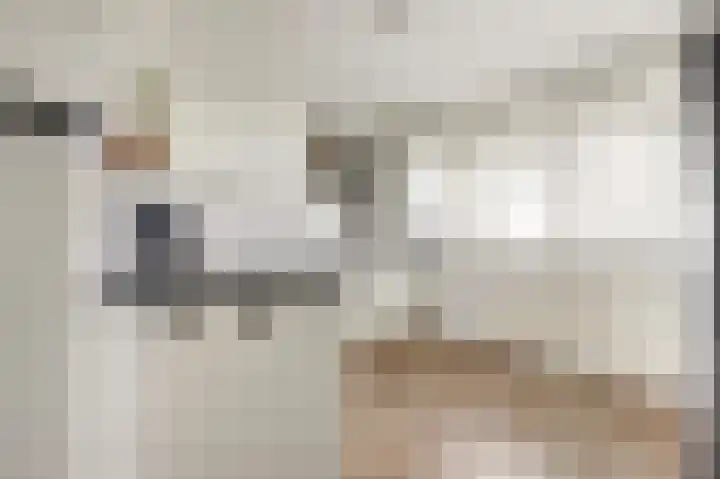 Peppelhorst 41 Waddinxveen thumbnail 17
