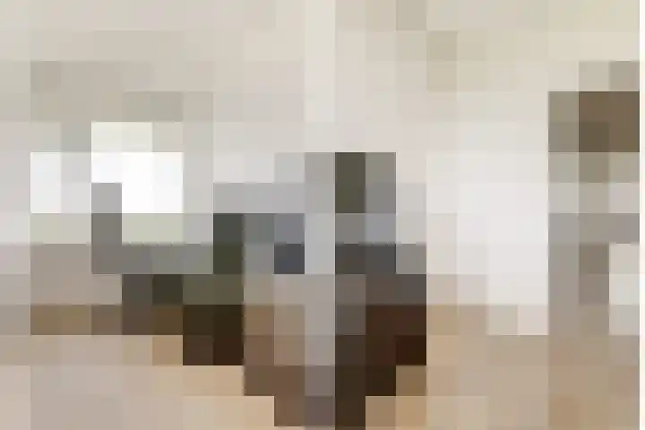 Peppelhorst 41 Waddinxveen thumbnail 24