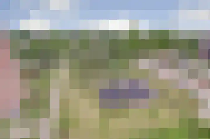 Peppelhorst 41 Waddinxveen thumbnail 26