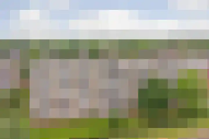 Peppelhorst 41 Waddinxveen thumbnail 28