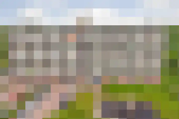 Peppelhorst 41 Waddinxveen thumbnail 29