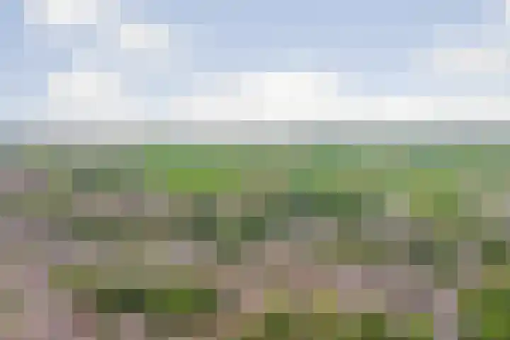 Peppelhorst 41 Waddinxveen thumbnail 31