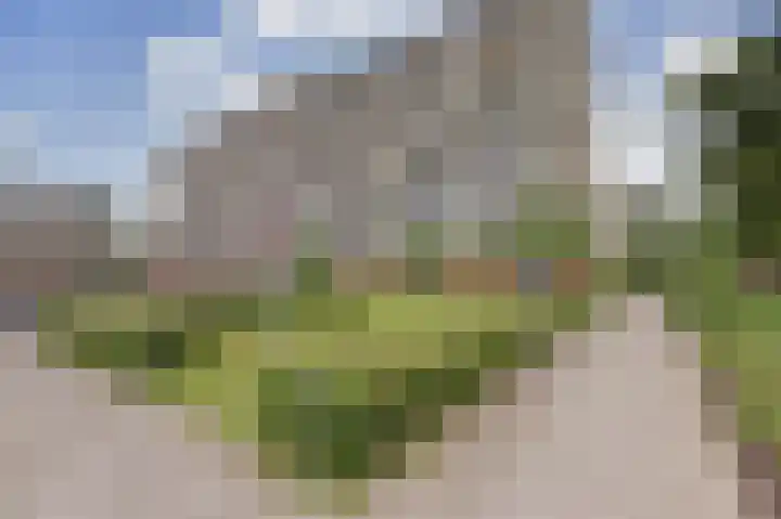 Peppelhorst 41 Waddinxveen thumbnail 35