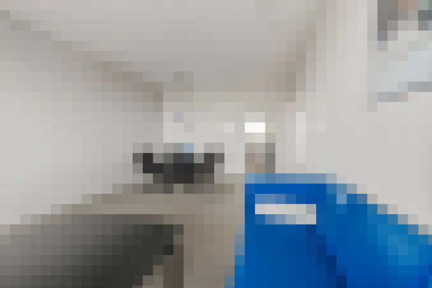 Peppelhorst 64 Waddinxveen thumbnail 13