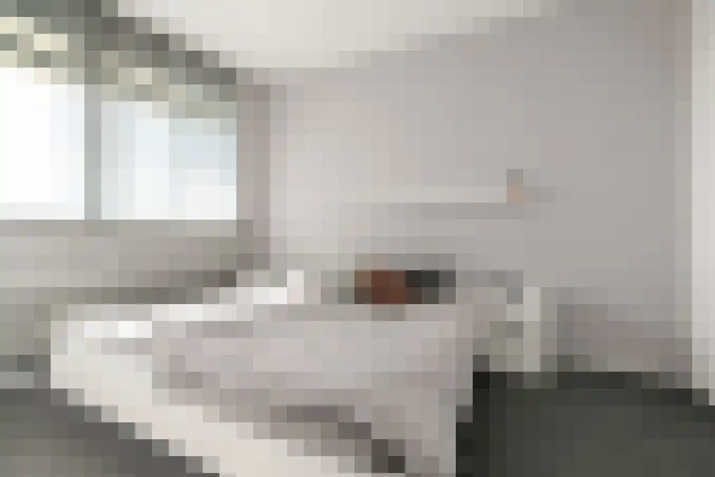 Peppelhorst 64 Waddinxveen thumbnail 21
