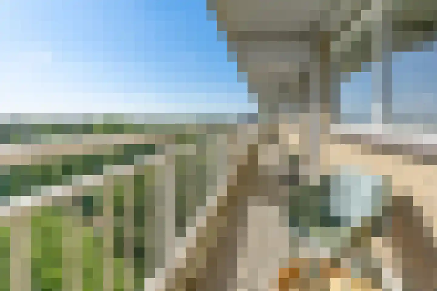 Peppelhorst 64 Waddinxveen thumbnail 5