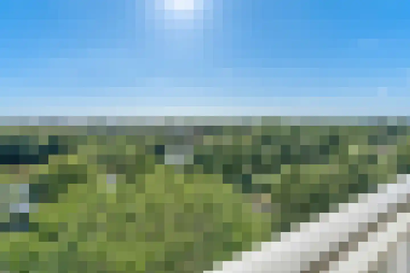 Peppelhorst 64 Waddinxveen thumbnail 6