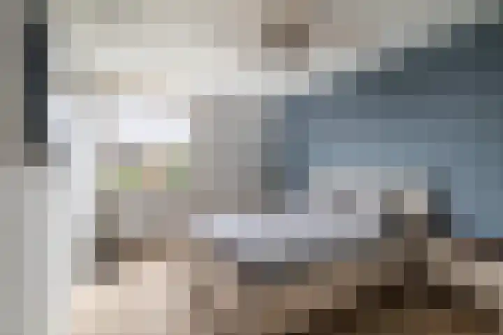 Peppelhoven 40 Maastricht thumbnail 10