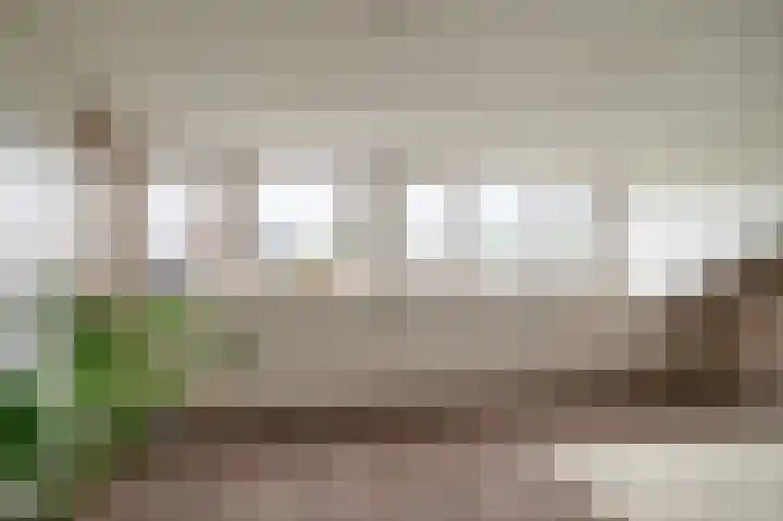Peppelhoven 40 Maastricht thumbnail 16