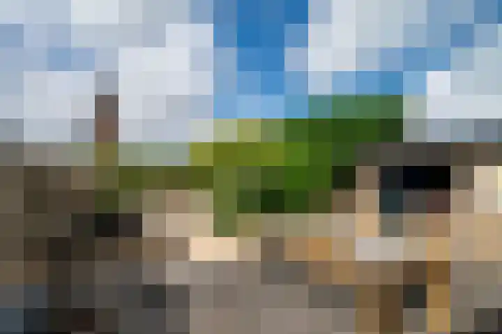 Peppelhoven 40 Maastricht thumbnail 18