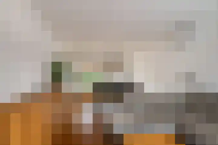 Peppelhoven 40 Maastricht thumbnail 4