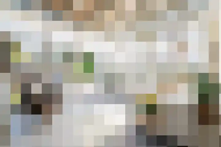 Peppelhoven 43 Maastricht thumbnail 10