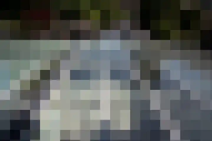Peppelhoven 43 Maastricht thumbnail 11
