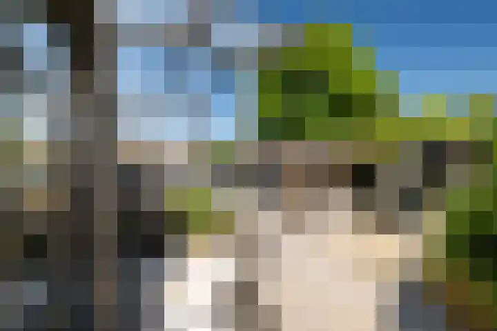 Peppelhoven 43 Maastricht thumbnail 19