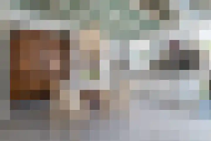 Peppelhoven 43 Maastricht thumbnail 8