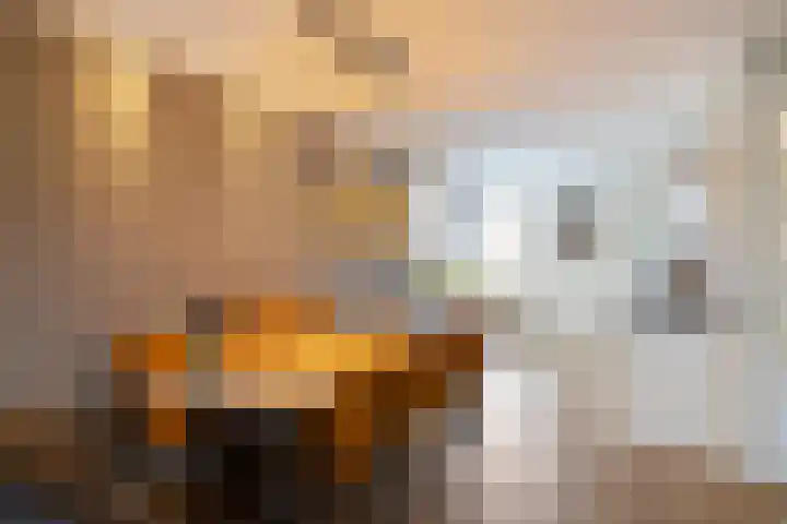 Peppeling 11 Hoogezand thumbnail 12