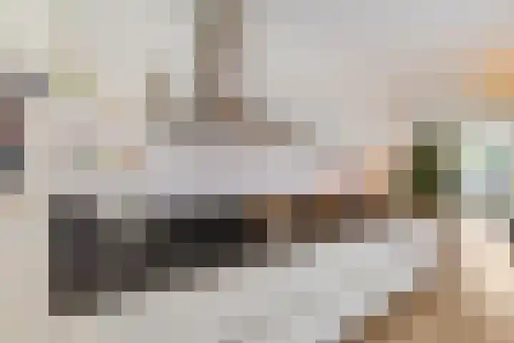 Peppeling 11 Hoogezand thumbnail 14