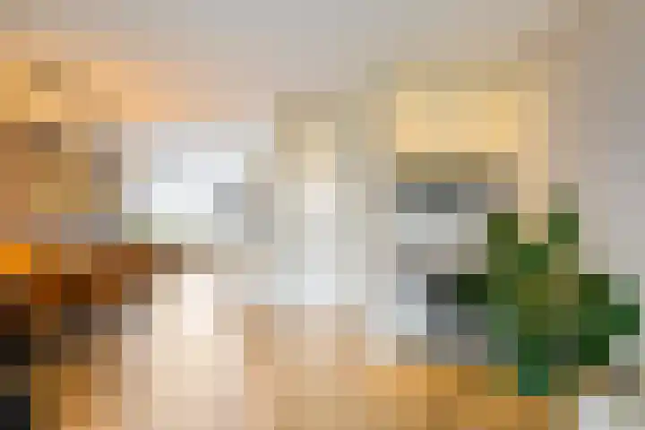 Peppeling 11 Hoogezand thumbnail 16