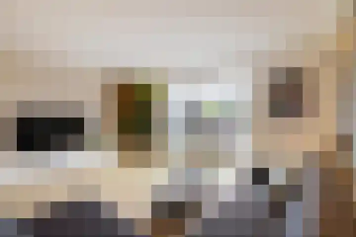 Peppeling 11 Hoogezand thumbnail 17