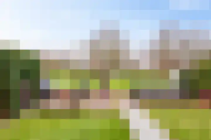 Peppeling 11 Hoogezand thumbnail 19