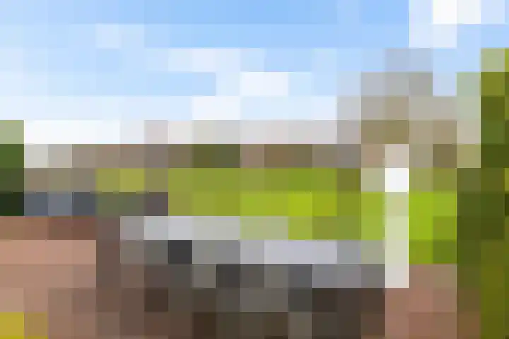 Peppeling 11 Hoogezand thumbnail 20